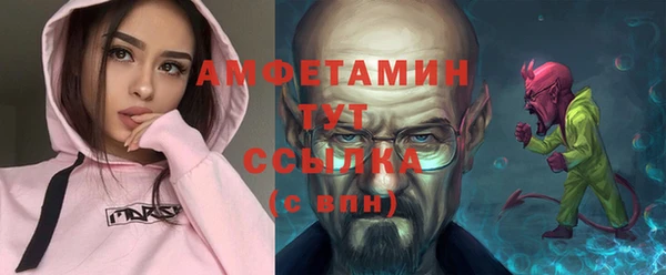 индика Заволжск