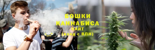 индика Заволжск