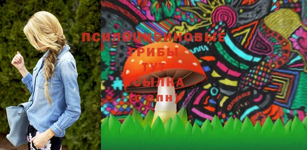 твердый Пересвет