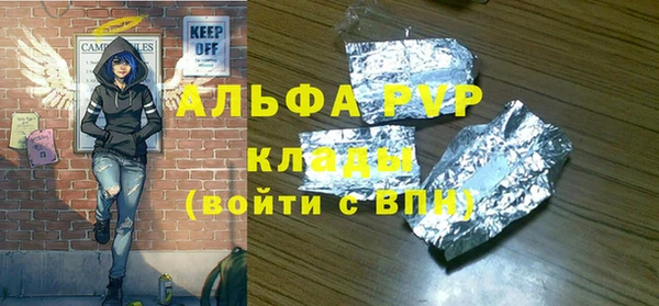 индика Заволжск
