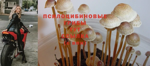 мескалин Заводоуковск