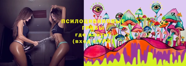 бошки Заволжье
